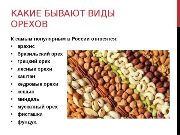 Орехи названия и картинки