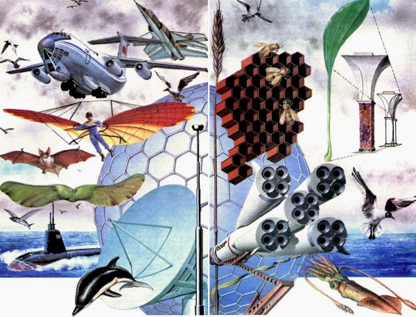 Бионика наука