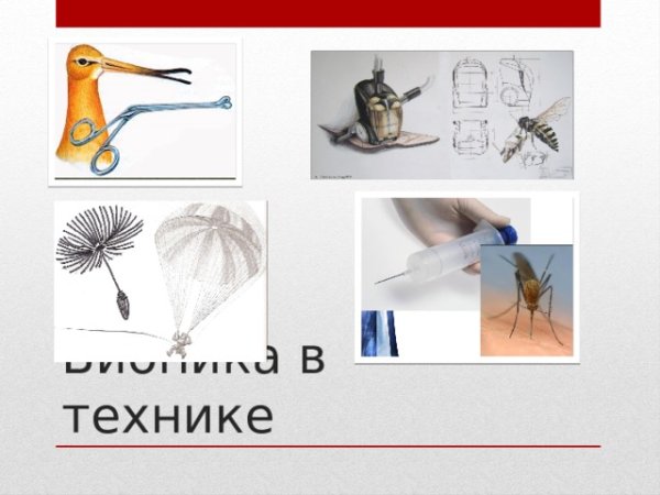 Бионика в детских поделках