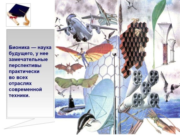 Бионика наука