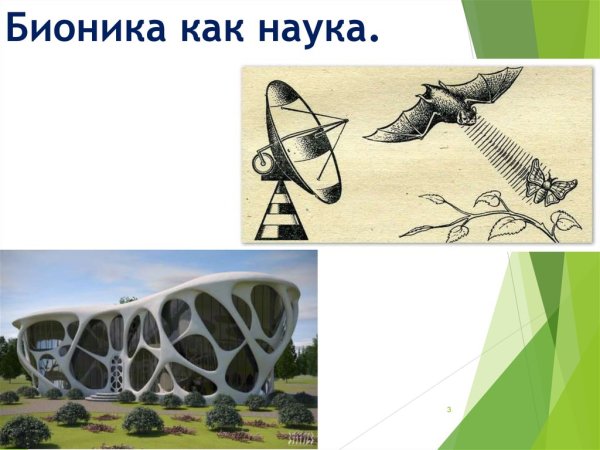 Общеморфологическая Бионика