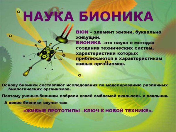 Бионика наука