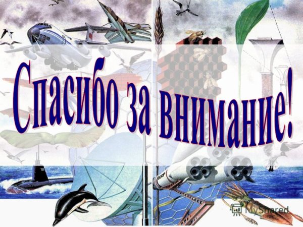 Бионика в биологии презентация