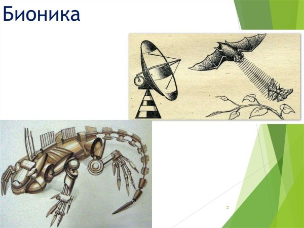 Биологическая Бионика