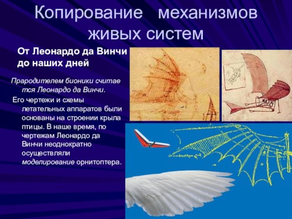 Бионика это в биологии