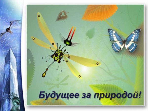 Бионика картинки для презентации