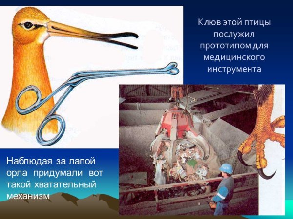 Бионика изобретения