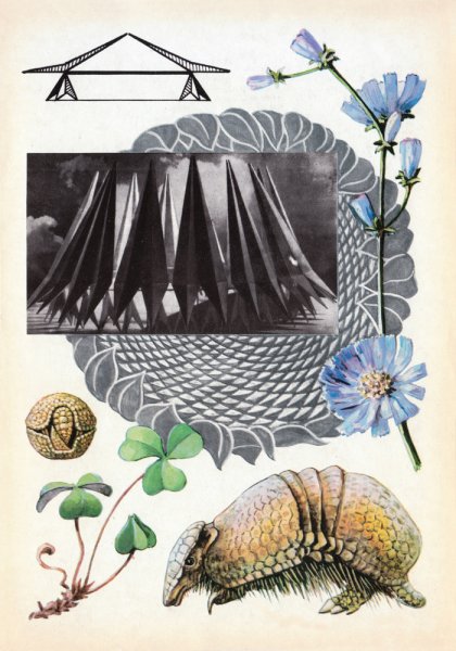 Бионика и биомиметика