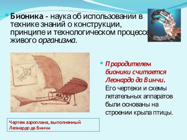 Бионика это в биологии