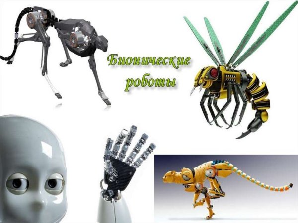 Шарниры Бионика