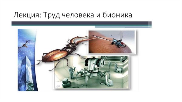 Бионика изобретения человека