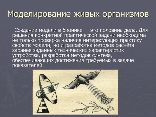 Бионика презентация