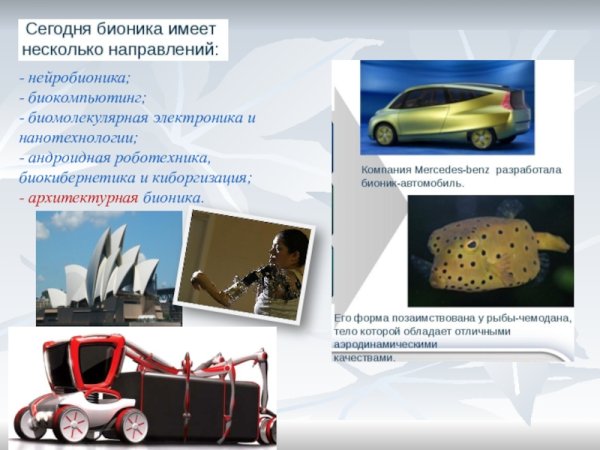 Бионика в транспорте