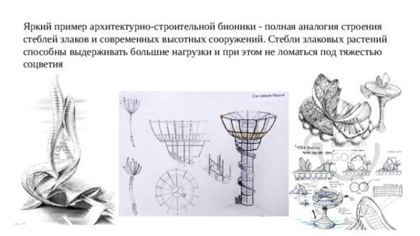 Бионика растения примеры