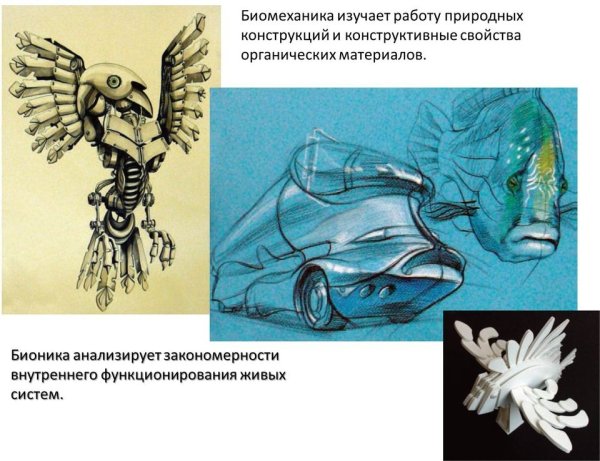 Рисунок на тему Бионика