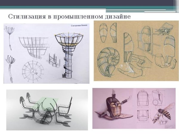 Стилизация бионической формы