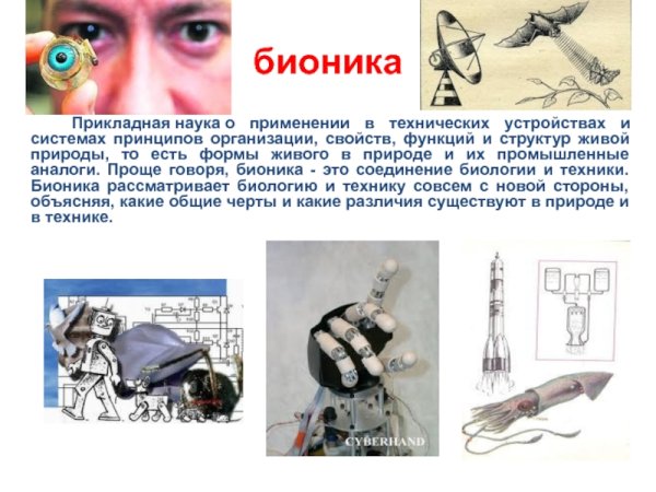 Бионика это наука о применении в технических устройствах и системах