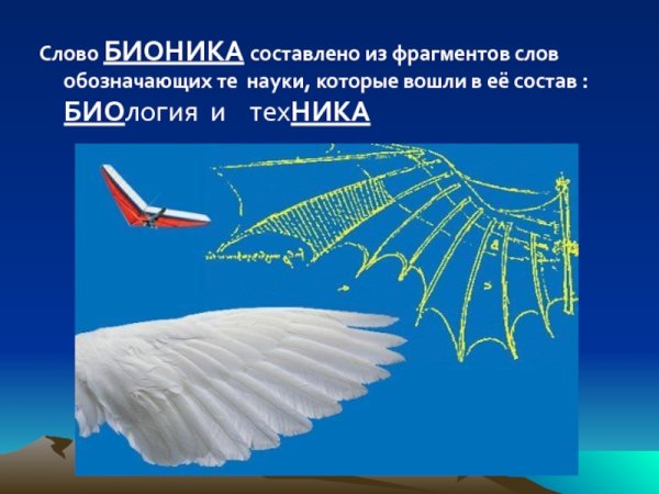 Бионика презентация