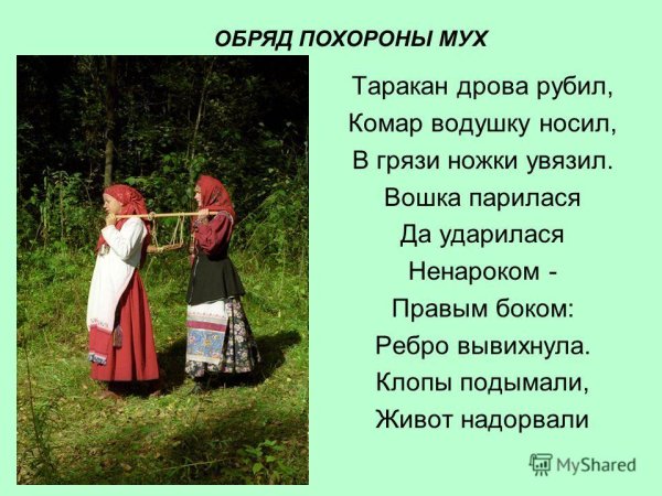 Похороны мух и тараканов обряд