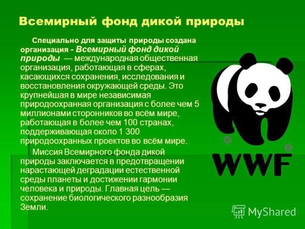 Информация о работе международных экологических организаций