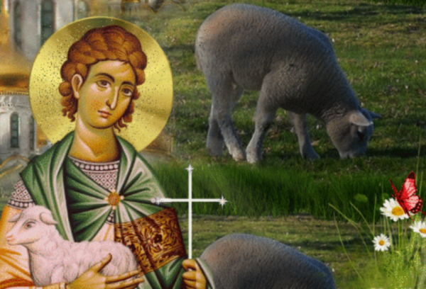 15 Сентября мамонт Овчарник Федот и Руфина