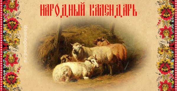 Онисим Овчарник