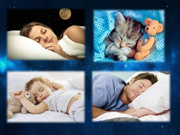 Международный день сна