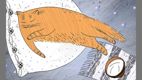 Всемирный день сна картинки