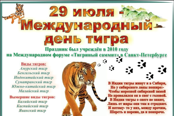 Международный дерл тигра