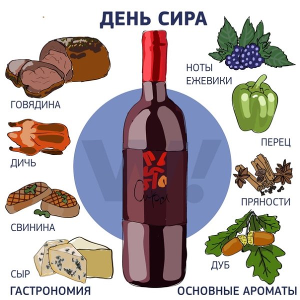 Международный день вина «Каберне Совиньон»