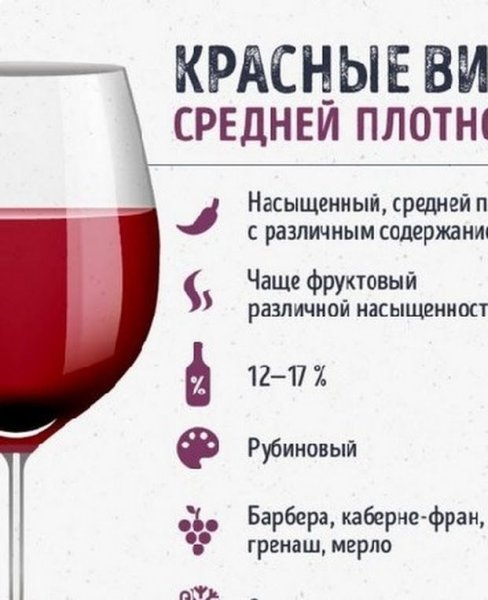 Как начать разбираться в винах