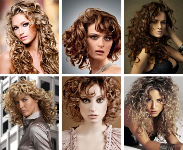 Биозавивка 2022