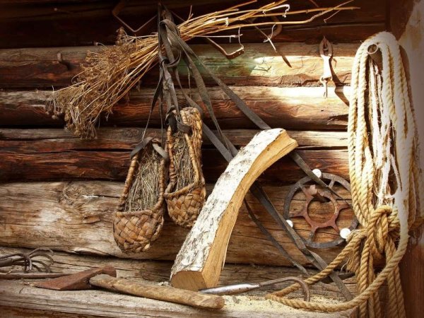 Домна Доброродная