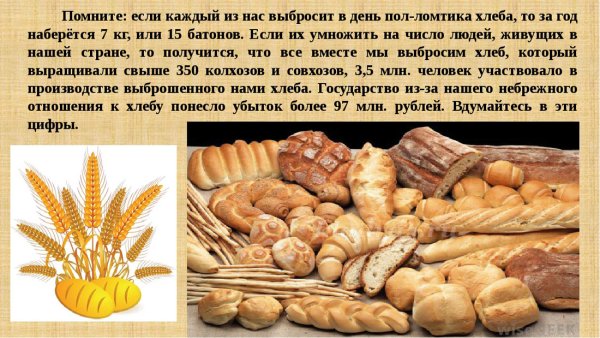 Хлеб отношение к хлебу