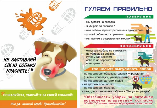 Памятка для владельцев собак