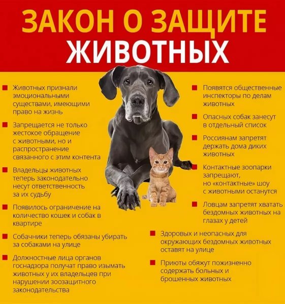 Памятка по обращению с домашними животными