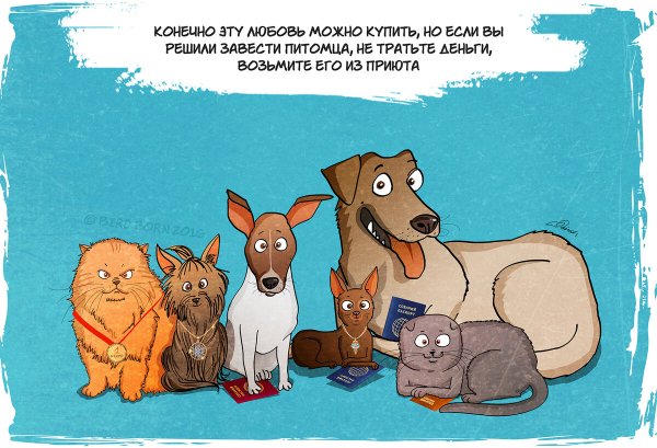 Смешные истории про собак