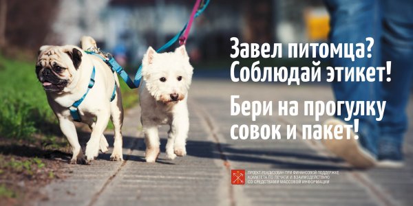 Убери за собакой