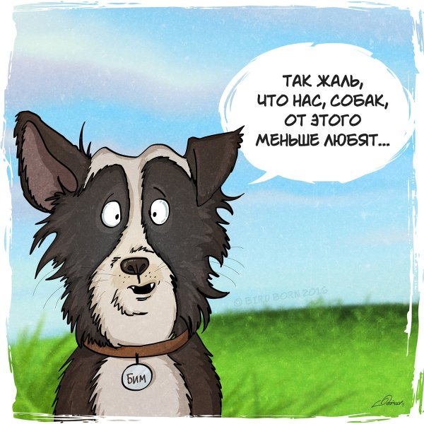 Уберите собаку