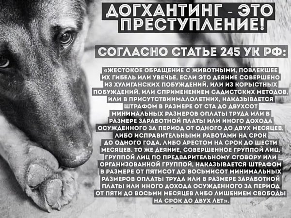 Против жестокого обращения с животными