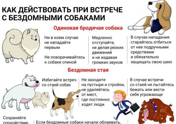 Памятка об ответственном обращении с животными