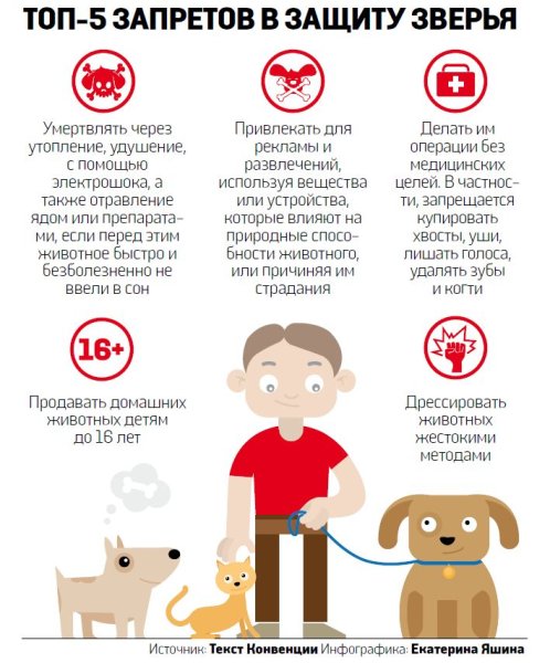 Памятка о защите животных