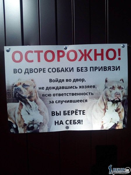 Во дворе собака табличка