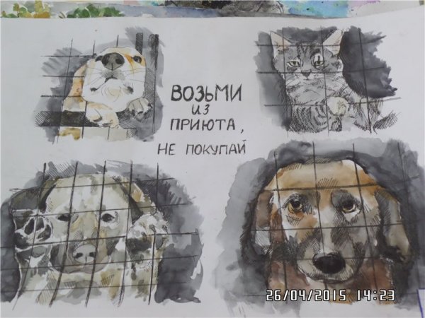 Приют для животных иллюстрации