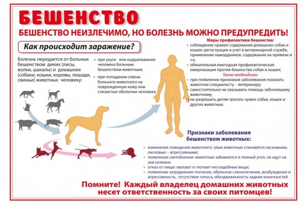 Профилактика бешенства у людей