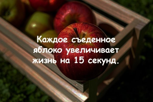 Факты о яблоках