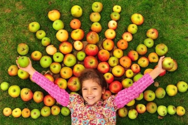 Праздник день яблока