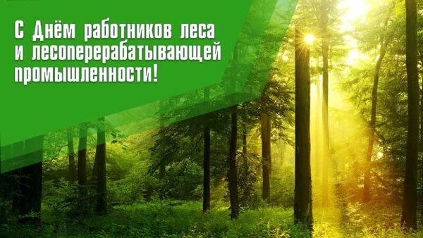 С днем леса и лесоперерабатывающей