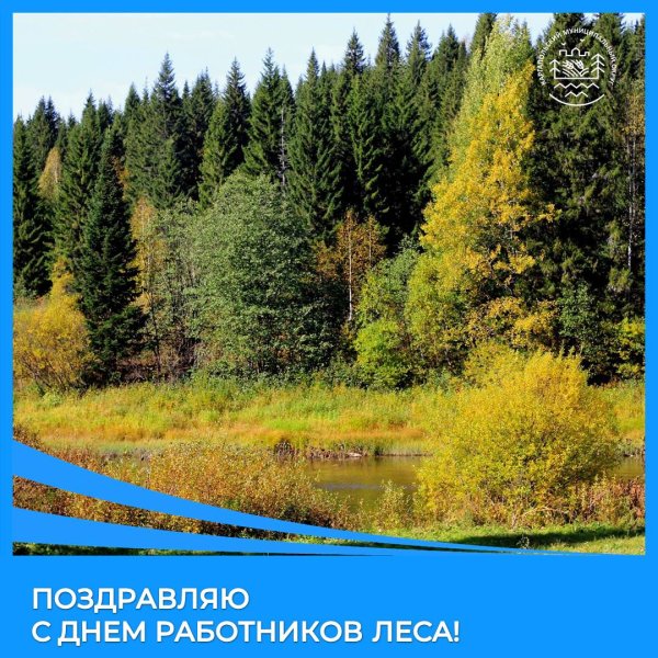 День работников леса и лесоперерабатывающей промышленности