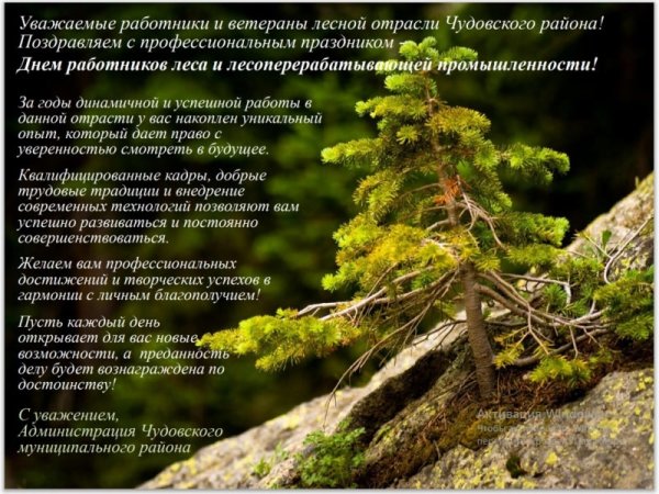С днем леса и лесоперерабатывающей промышленности